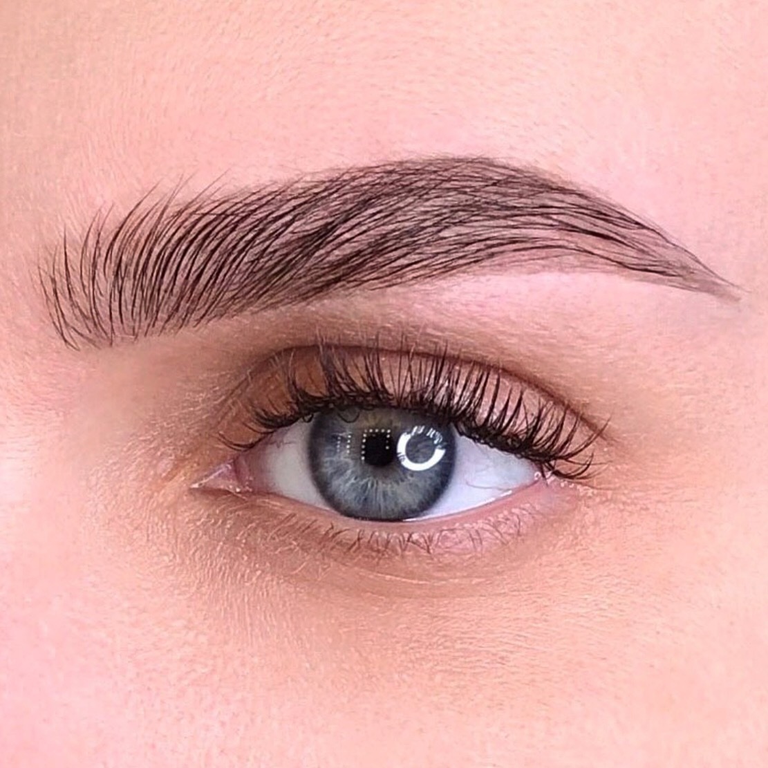 <span style="font-weight: bold;">Архитектура бровей </span>